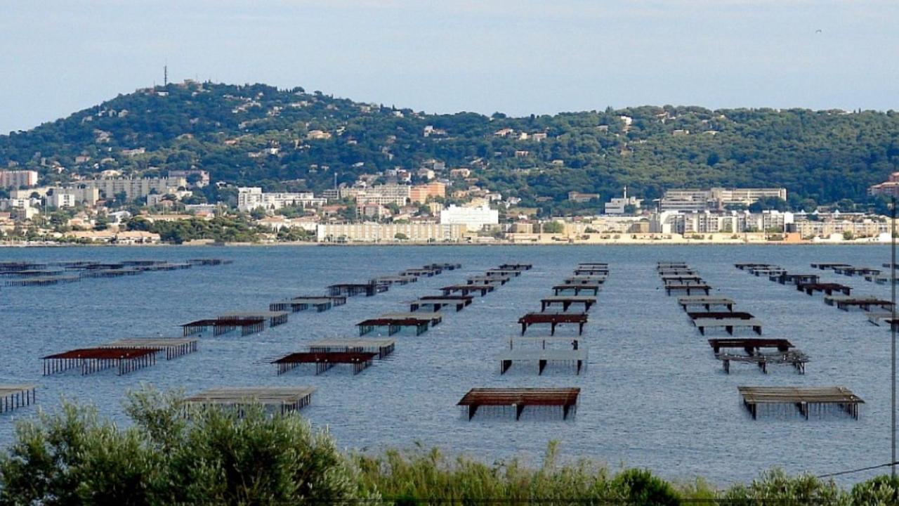Sublime T2 Tout Confort A Сет Экстерьер фото